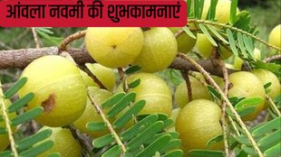 Akshaya Navami 2024 amla murabba recipe in hindi