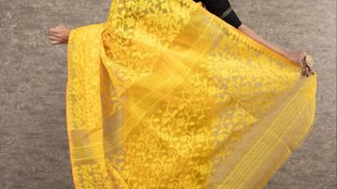 jamdani saree