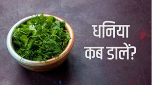coriander leaves in cooking