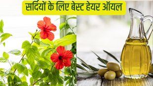 hibiscus and olive oil for hair