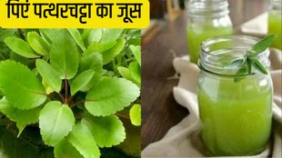 patharchatta juice benefits