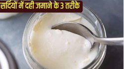 हरी मिर्च के साथ दही कैसे सेट करें? जानें सर्दियों में दही जमाने के लिए ऐसे ही 3 स्मार्ट तरीके
