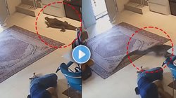 नींद में सो रहा था परिवार, तभी घर के अंदर घुसा खतरनाक जीव, फिर जो हुआ… कमजोर दिलवाले न देखें Viral Video