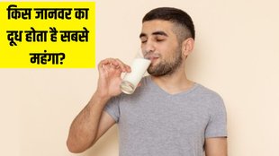 National Milk Day । National Milk Day 2024 । National Milk Day Date