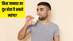 National Milk Day: सिर्फ गाय-भैंस नहीं, इन जानवरों का दूध भी पीते हैं लोग, जानें किसका दूध बिकता है सबसे महंगा