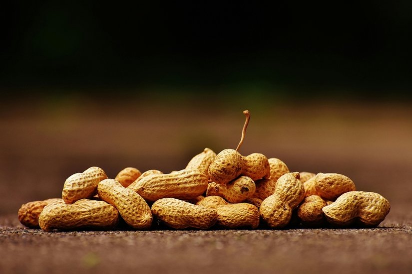 Nutritional value of peanuts
