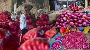 onion prices in india, Onion Prices Rise, Onion Prices Today, onion price hike, onion price hike news, onion price in up, onion price noida,