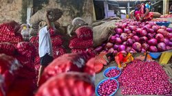 Onion Price Hike: प्याज की कीमतें कब कम होंगी? खरीदने में निकल रहे आंसू