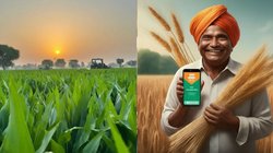 PM Kisan Yojana: पीएम किसान के करोड़ों लाभार्थियों के लिए जरूरी खबर, तुरंत कर लें ये काम, वरना अटक सकता है पैसा