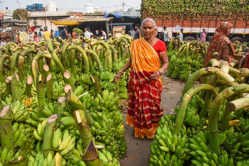  banana for Chhath