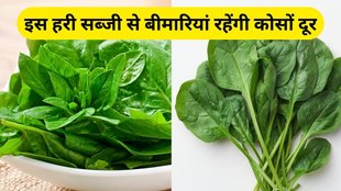 Palak Ke Fayde: सर्दियों में जरूर खाएं ये हरी पत्तेदार सब्जी