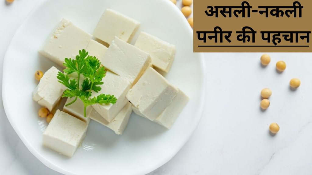 Paneer Purity Check । Paneer Purity । Paneer