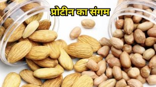 Peanuts vs Almonds: मूंगफली या बादाम किसमें ज्यादा प्रोटीन