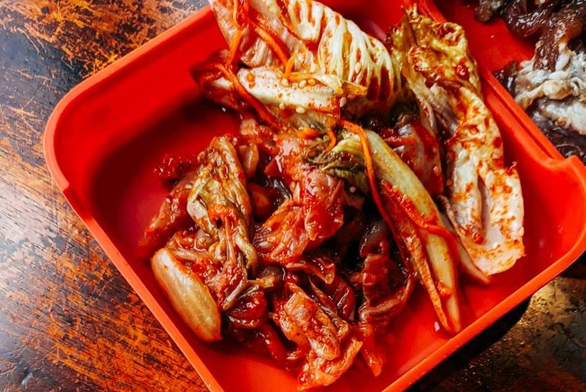 South Korea Dog Meat Industry