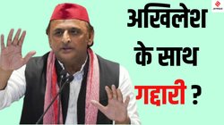UP bypoll: यूपी उपचुनाव में बीजेपी उम्मीदवार का प्रचार क्यों कर रही हैं सपा विधायक?, गैंगस्टर अतीक अहमद से है कनेक्शन