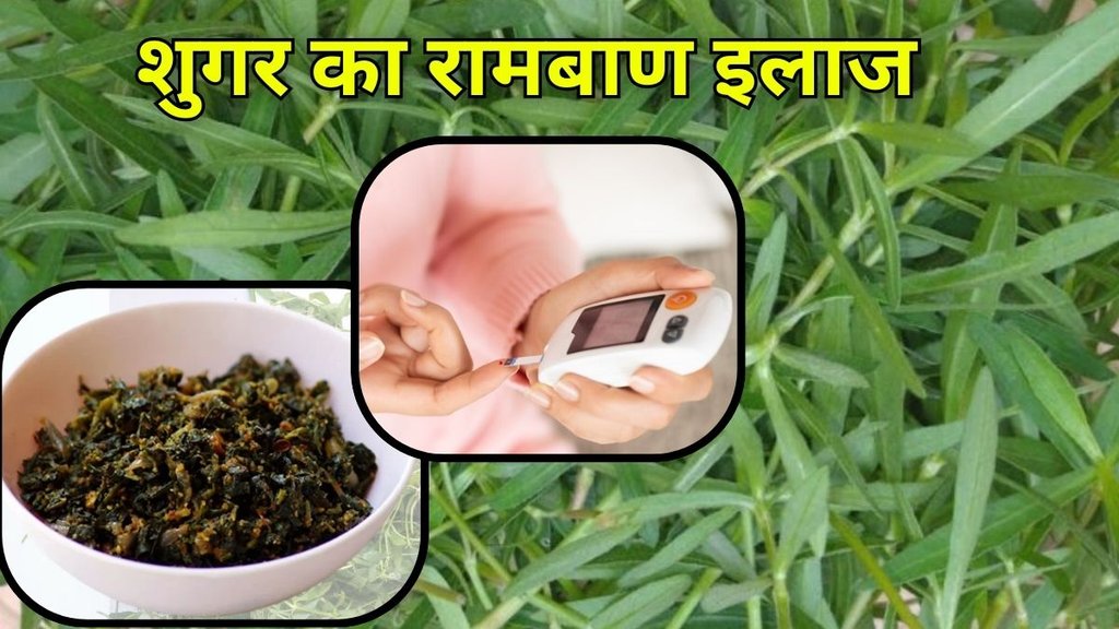 Ponnaganti Kura Benefits: पोन्नागंती करी के लाभ
