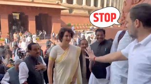 Priyanka Gandhi, Rahul Gandhi, Lok Sabha