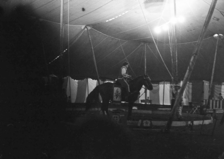 Public hanging of an elephant