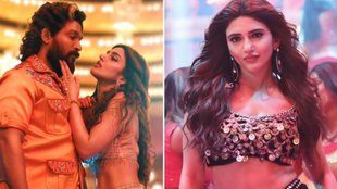 Pushpa 2, Pushpa 2 The Rule, Pushpa 2 the rule Item Song