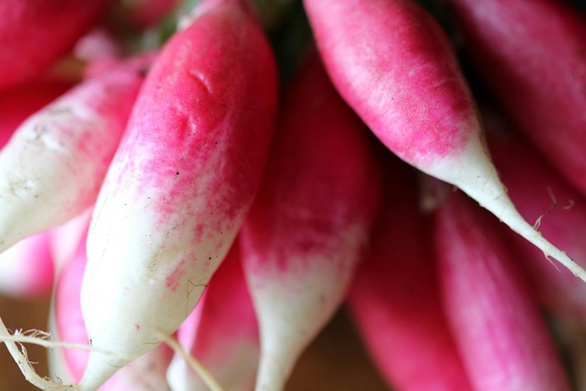 Radish health benefits in winter