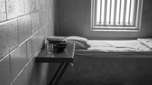 Reasons for empty prisons in Netherlands