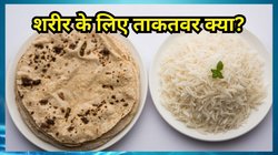 Rice vs Roti: चावल या रोटी… कौन सबसे ज्यादा हेल्दी ? यहां जानें कब और कैसे करें इनका सेवन