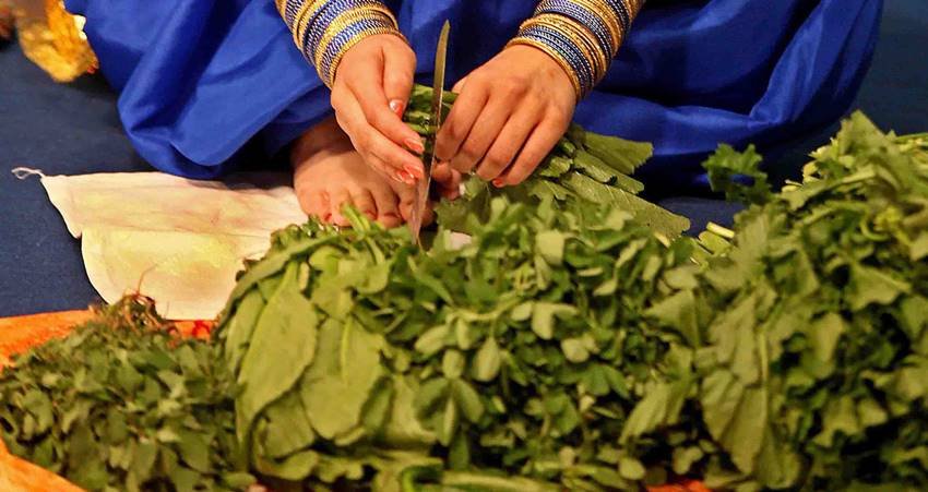 Health benefits of saag in winter