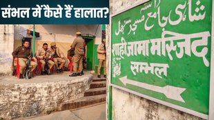 Sambhal News, Sambhal News Today, Sambhal News in Hindi
