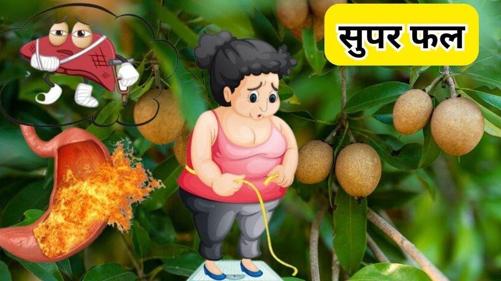 Sapota Benefits for health Chiku Ke Fayde चीकू के फायदे