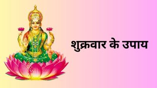 Shukra Stotra, Shukra Stotra Benefits, Shukra Kavach, Shukra Kavach Benefits, Shukrawar Ke Upay, शुक्र स्तोत्र, शुक्र स्तोत्र लाभ, शुक्र कवच, शुक्र कवच लाभ