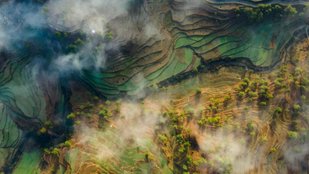 Smog-free destinations in North India