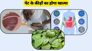 Stomach Worms: पेट के कीड़े होंगे खत्म