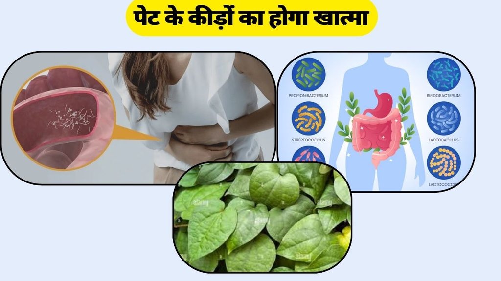 Stomach Worms: पेट के कीड़े होंगे खत्म
