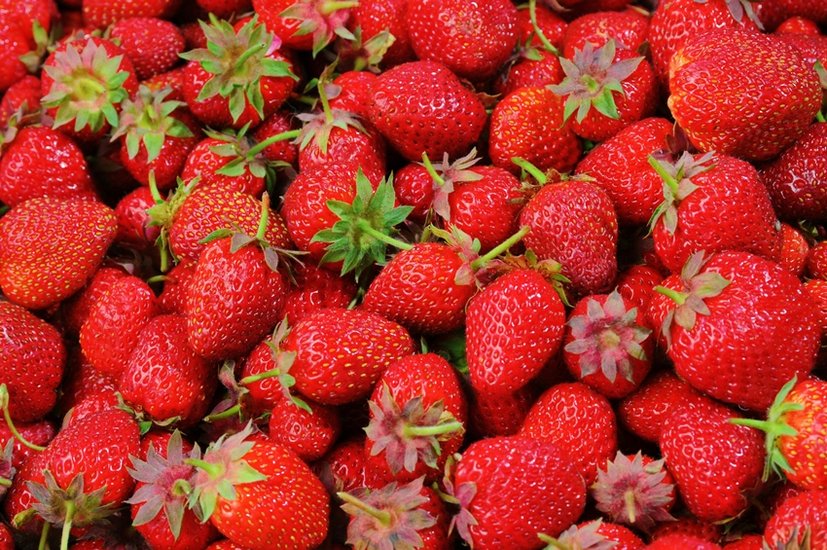 Strawberry growing guide