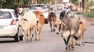 jeetu patwari, Congress, Indore