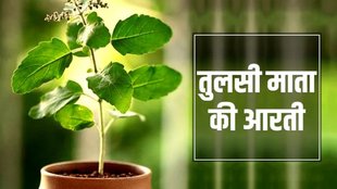 Tulsi Mata Ki Aarti, Tulsi Ji Ki Aarti lyrics in hindi, tulsi mata ki aarti, jai jai tulsi mata