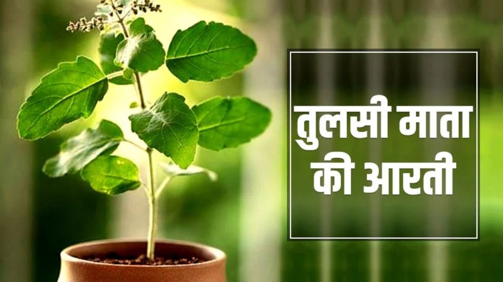 Tulsi Mata Ki Aarti, Tulsi Ji Ki Aarti lyrics in hindi, tulsi mata ki aarti, jai jai tulsi mata