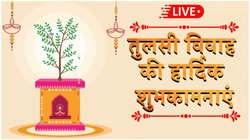 Happy Tulsi Vivah 2024 Hindi Wishes, Images, Quotes: यहां से चुनकर अपनों को भेजें तुलसी विवाह के बेस्ट मैसेज, कोट्स और फोटोज
