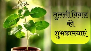 Tulsi Vivah 2024 Wishes । Tulsi Vivah 2024 Wishes Images । Tulsi Vivah 2024