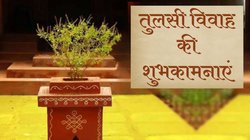 Tulsi Vivah 2024 Shayari, Wishes Images: हरि को तुम अति प्यारी, श्याम वर्ण सुकुमारी…इन संदेशों के साथ दें तुलसी विवाह की शुभकामनाएं