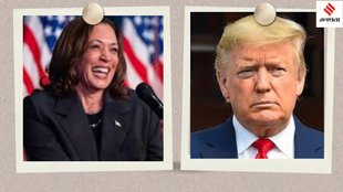 US Presidential Election 2024, Indian Americans vote in US elections,