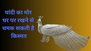 Vastu Tips, Vastu Shastra, Vastu Tips for Home, Vastu Tips for Money, Religion, Religion News in Hindi, Religion News, Ghar mein Chandi ka Mor Rakhne ke Fayde