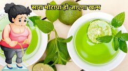 Weight Loss Tips: तेजी से कम करना है वजन तो ग्रीन टी में इन चीजों को मिलाकर पी लें, झट से पिघल जाएगी सारी चर्बी