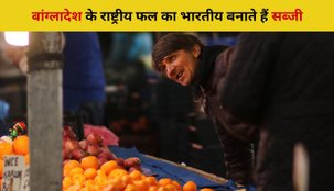 What is the national fruit of Bangladesh