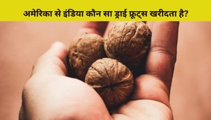 Which Dry Fruits India Buy From America