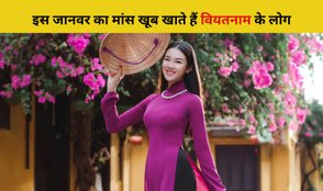 Which animals meat do Vietnamese people eat