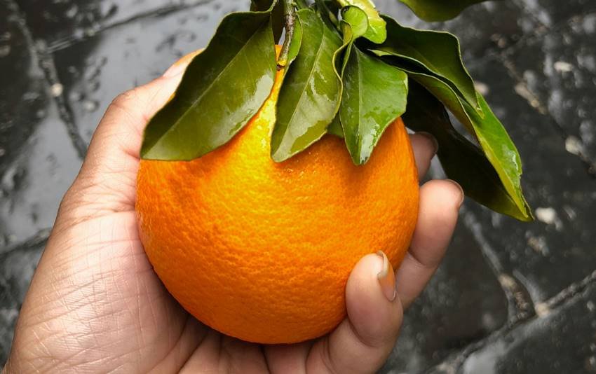 health benefits of orange