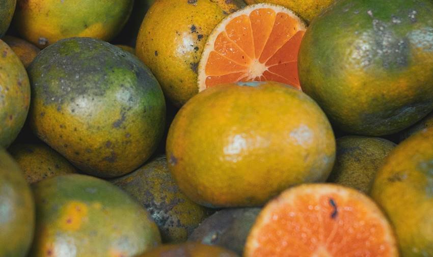 Why should eat oranges in winter