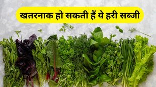 Winter Foods: हरी सब्जी