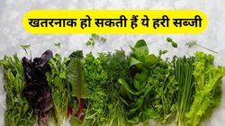 सर्दियों में इन हरी पत्तेदार सब्जियों का किया सेवन तो गंभीर बीमारी के हो सकते हैं शिकार, खाने से पहले जान लें इनके घातक परिणाम 